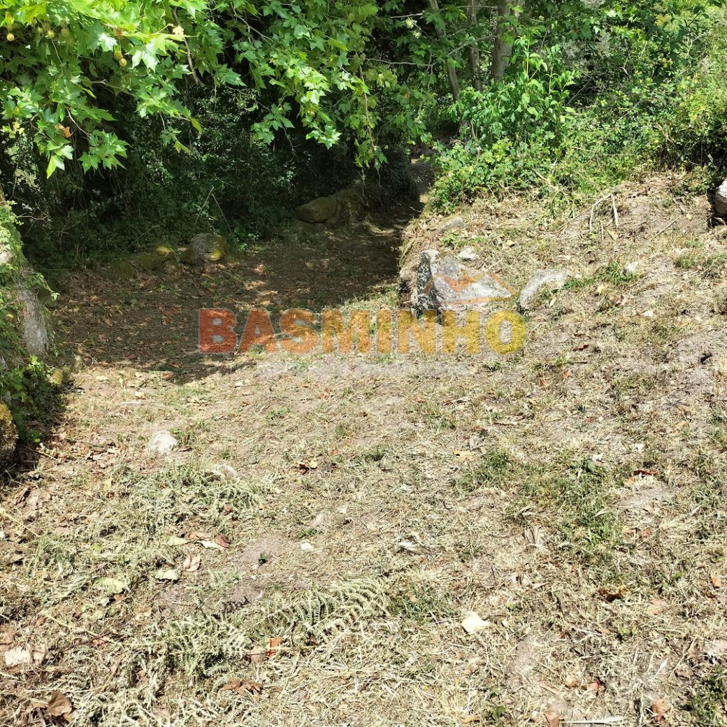IMG20260613121216