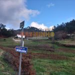 IMG20260117144226
