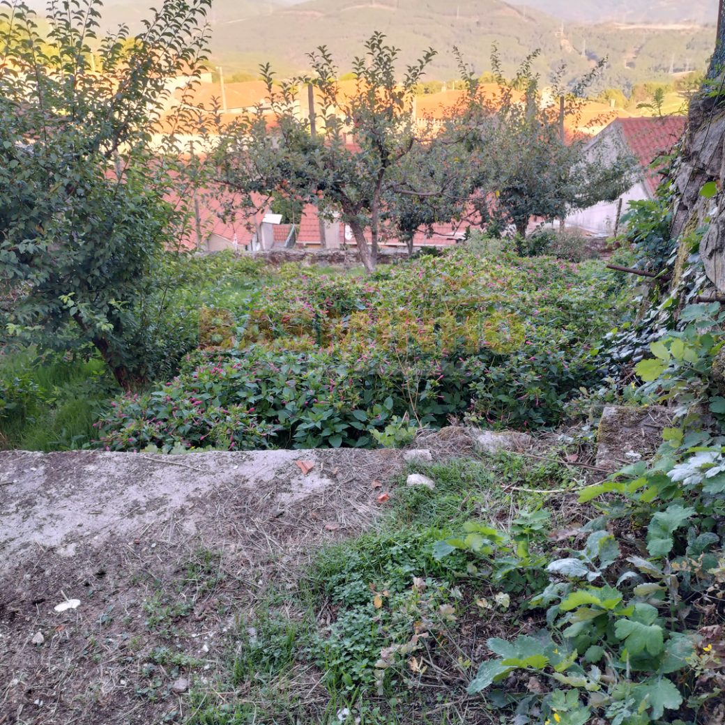 IMG20260915180334