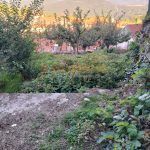 IMG20260915180334