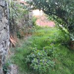 IMG20260915180356