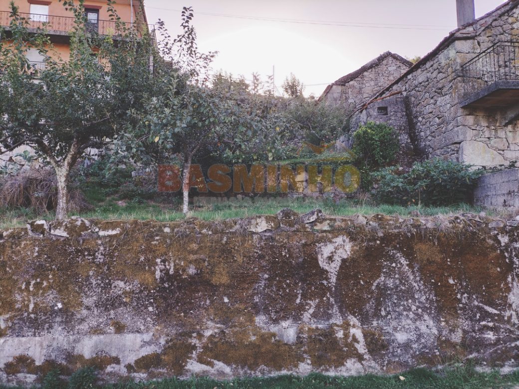 IMG20260915180828