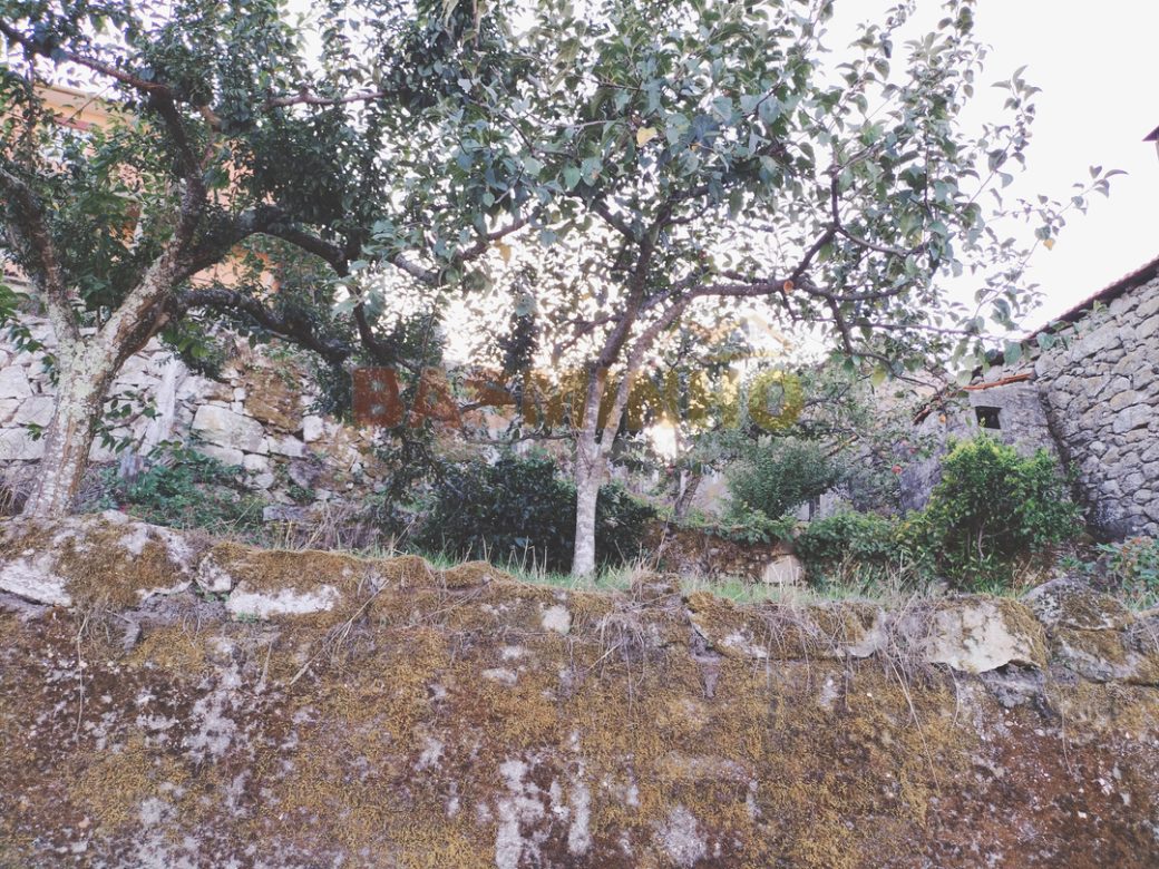 IMG20260915181010