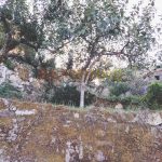 IMG20260915181010