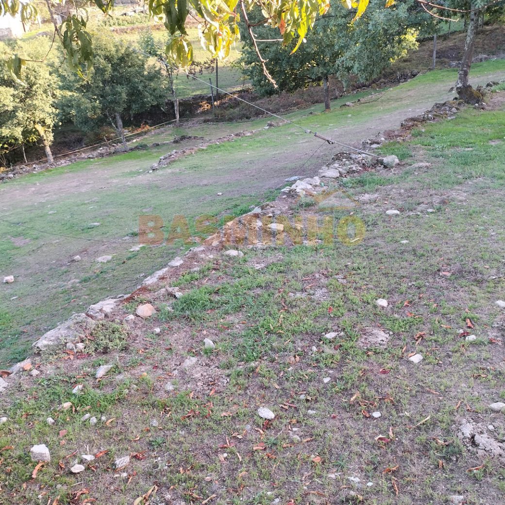 IMG20260915181746