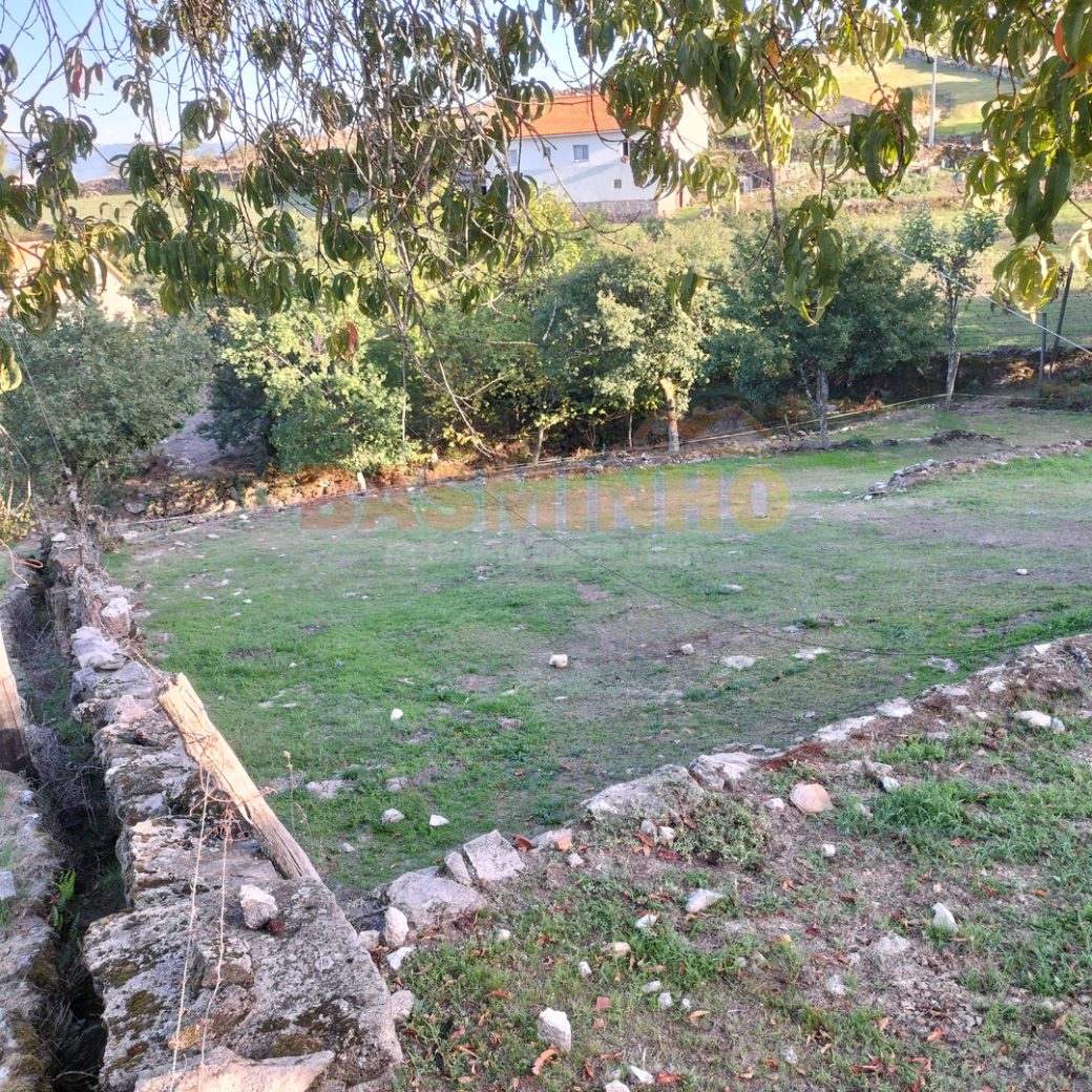 IMG20260915181749