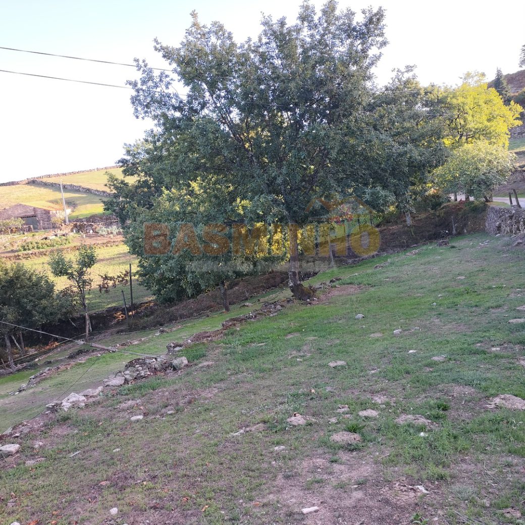 IMG20260915181811