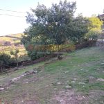 IMG20260915181811